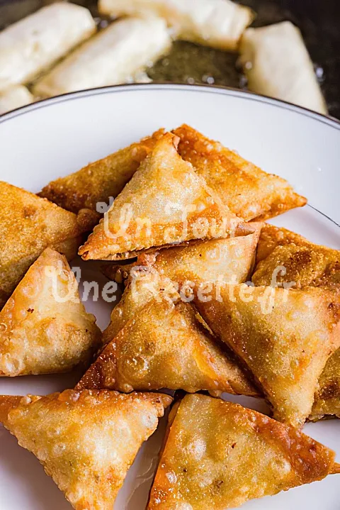 Photo de Bricks de poulet à l'indienne