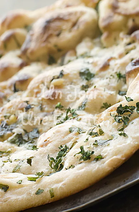 Photo de Pizza blanche