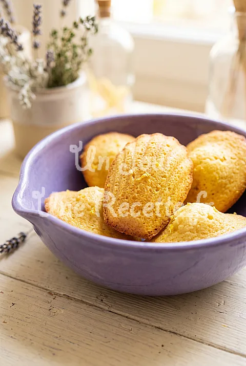 Photo de Madeleines de Commercy