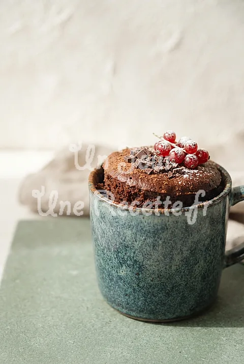 Photo de Mug Cake au Chocolat