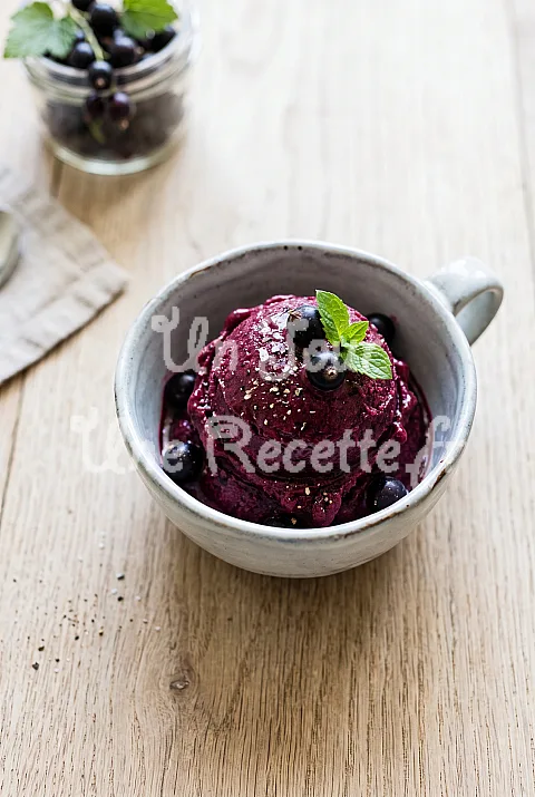 Photo de Sorbet au cassis sans sorbetière