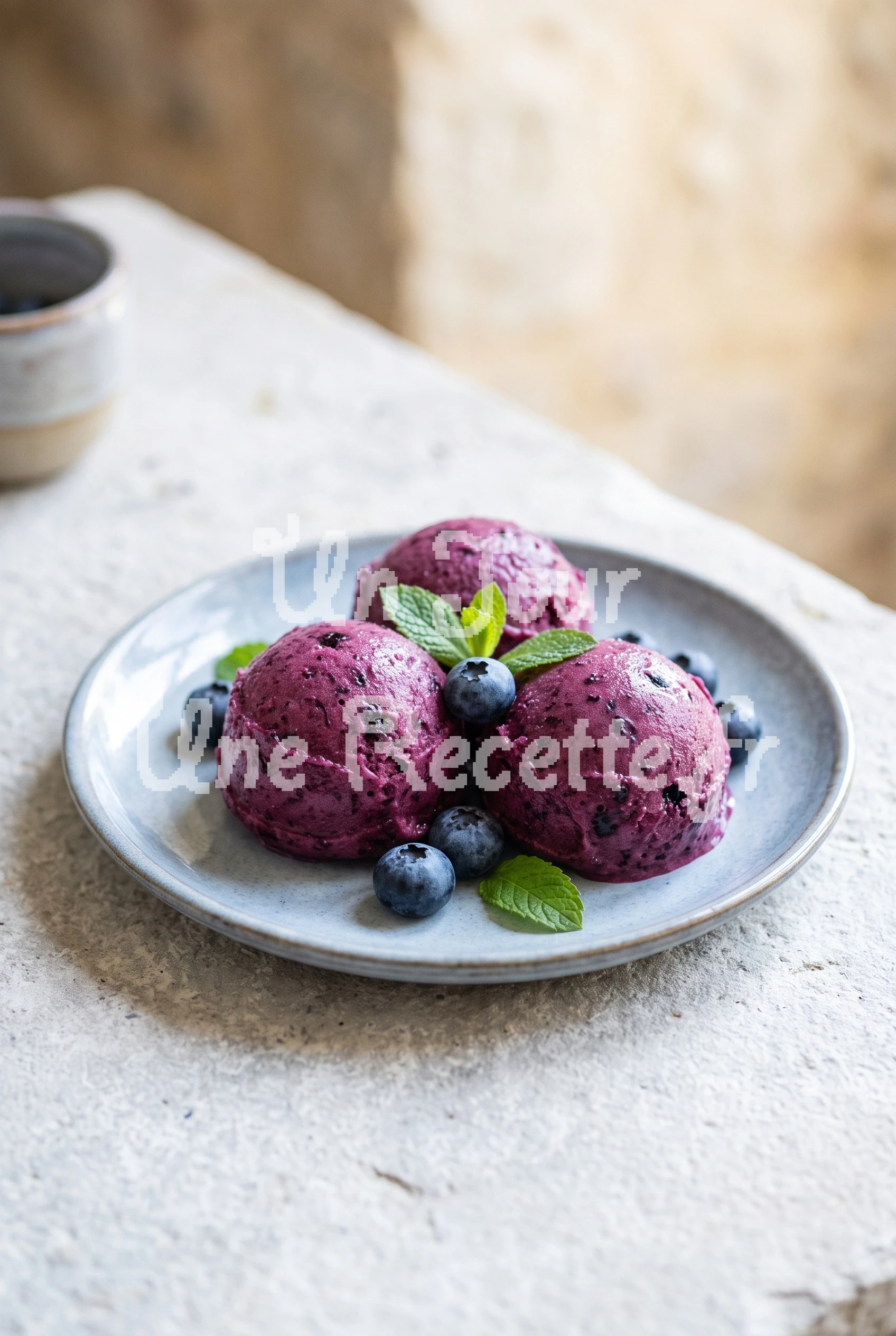 Photo de la recette Sorbet à la myrtille