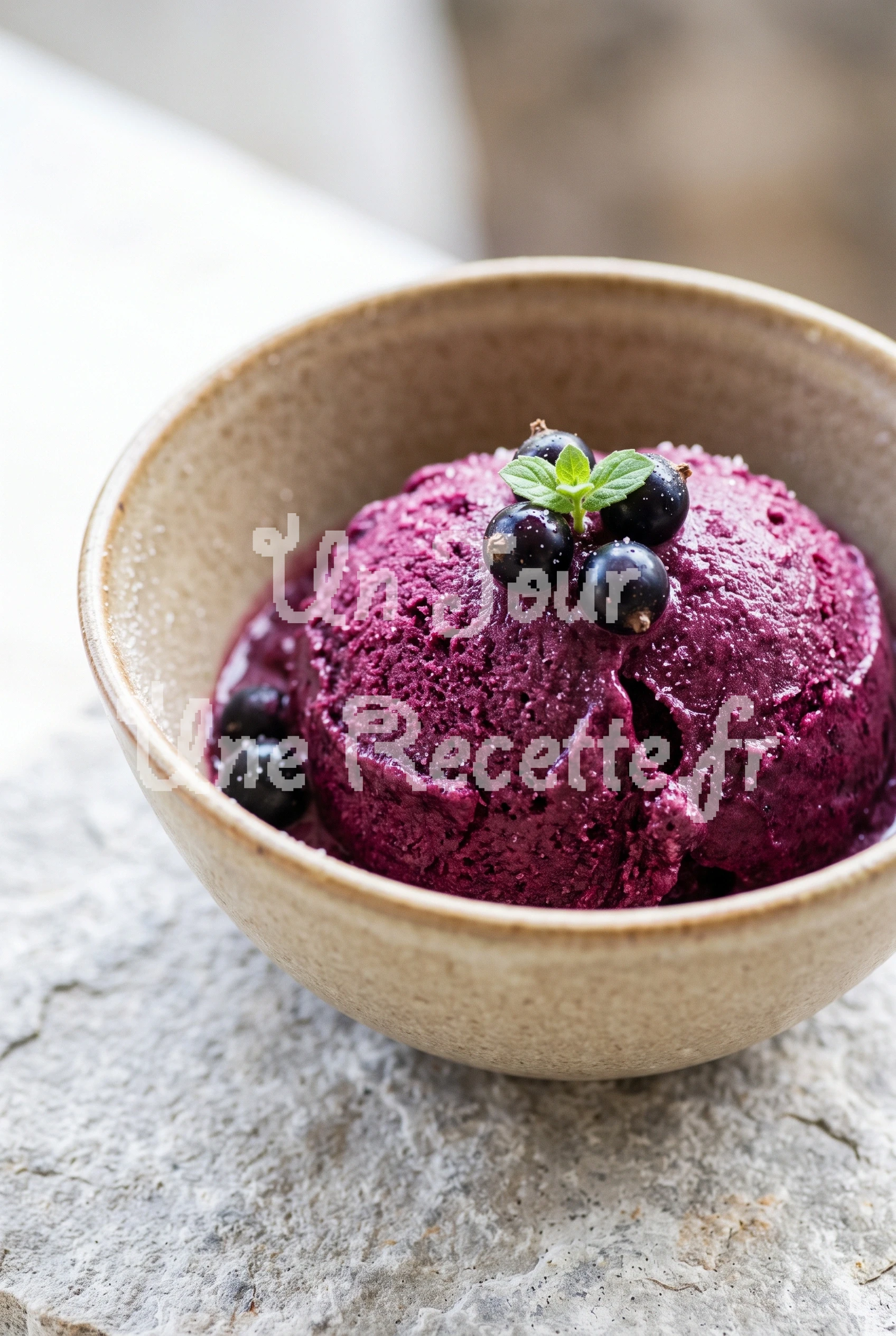 Photo de la recette Sorbet au cassis