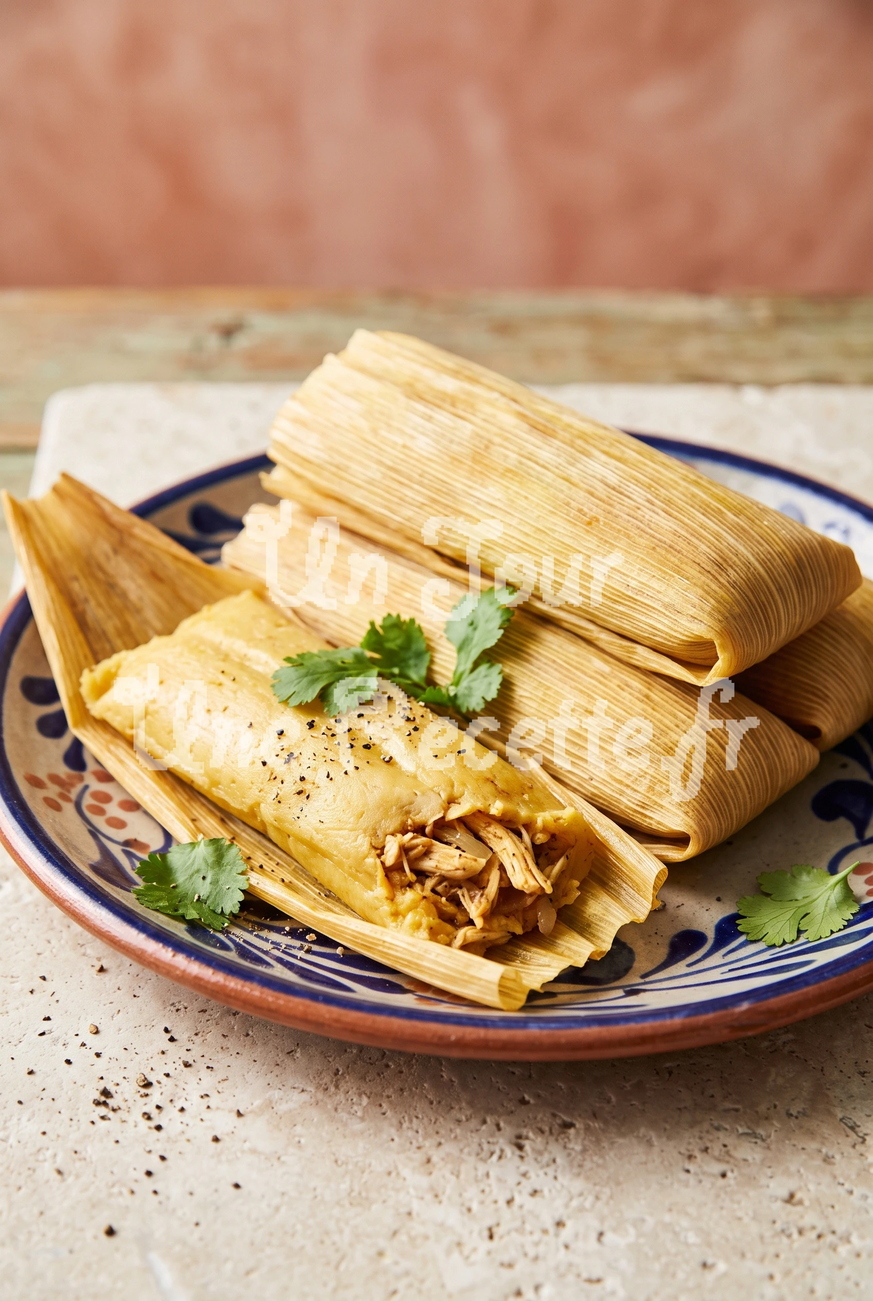 Photo de la recette Tamales