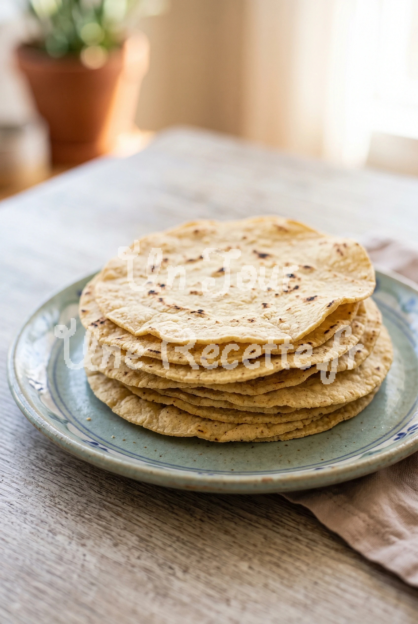 Photo de la recette Tortilla de maïs maison