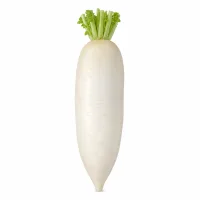 daikon