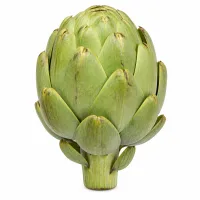 artichauts en conserve, égouttés
