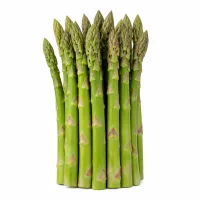 asperges vertes en conserve