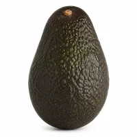 avocats bien mûr