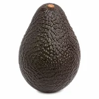 avocats mûrs à point