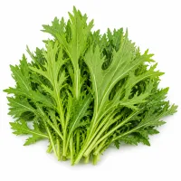 bitter aromatique