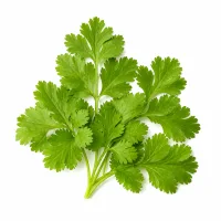 brins de coriandre (quelques feuilles, hachées)