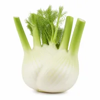 bulbe de fenouil