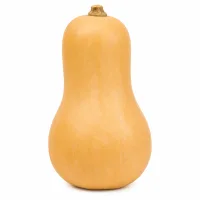 butternut