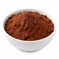 cacao en poudre non sucré