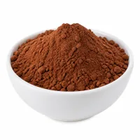 cacao en poudre pour saupoudrer