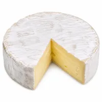 camembert