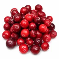 canneberges séchées