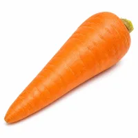 carottes moyennes