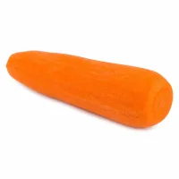 carottes épluchées et coupées en rondelles