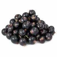cassis