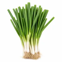 cébettes