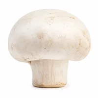 champignons, hachés grossièrement