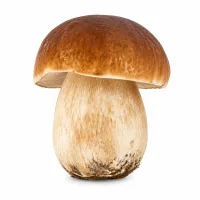 champignons (cèpes idéalement)