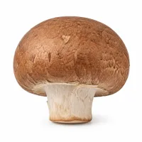 champignons noirs séchés