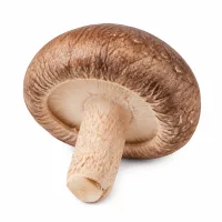 champignons shiitake déshydratés