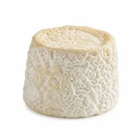 chavignol
