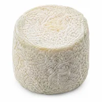 Chavignol (chèvre)