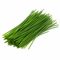 ciboulette