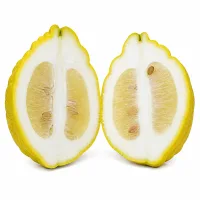 citron, coupé en deux