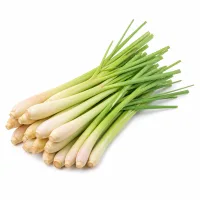 citronnelle fraîche hachée