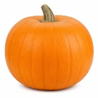 citrouille hachée