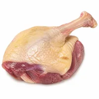confit de canard