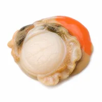 coquilles Saint-Jacques