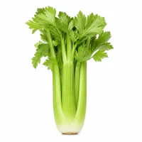 côtes de céleri