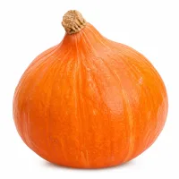 courge