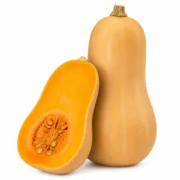 courge Butternut