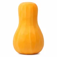 courge butternut épluchée et coupée en cubes