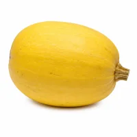courge spaghetti