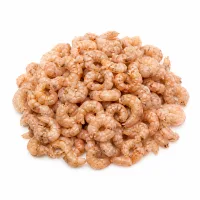 crevettes grises
