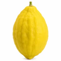 demi citron