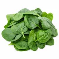 épinards frais