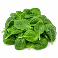 épinards frais, lavés et séchés