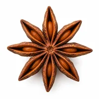 étoile de badiane