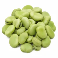 fèves pelées, égouttées