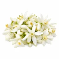 fleurs d'oranger